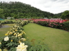 img0055.jpg
