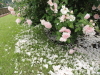 img0059.jpg