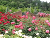 img0068.jpg