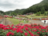 img0070.jpg