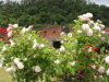 img0074.jpg