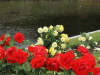 img0086.jpg