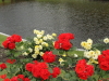 img0087.jpg