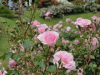 img0091.jpg