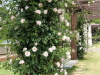 img0094.jpg