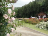img0097.jpg