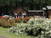 img0098.jpg
