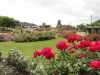img0107.jpg