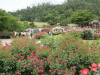 img0108.jpg