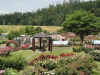 img0113.jpg