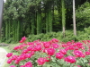 img0114.jpg