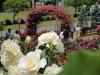 img0117.jpg