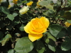img0121.jpg