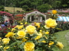img0122.jpg