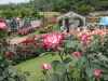 img0125.jpg