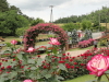 img0126.jpg