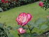 img0127.jpg