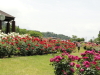 img0132.jpg