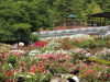 img0135.jpg