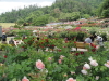 img0145.jpg