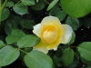 img0149.jpg