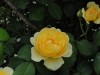 img0150.jpg