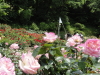 img0163.jpg