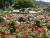 img0167.jpg