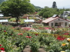 img0170.jpg