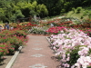 img0173.jpg