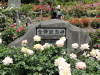 img0182.jpg