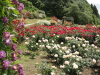 img0187.jpg