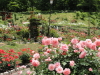 img0190.jpg
