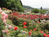 img0191.jpg