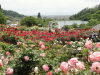 img0192.jpg