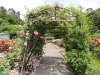 img0197.jpg