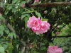 img0199.jpg