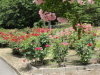 img0203.jpg