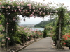 img0206.jpg