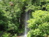img0211.jpg