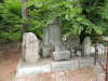 img0214.jpg
