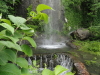 img0219.jpg