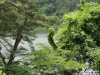 img0221.jpg