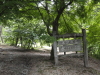 img0222.jpg