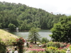 img0224.jpg