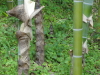 img0225.jpg