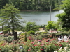 img0227.jpg