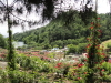 img0229.jpg