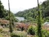 img0230.jpg
