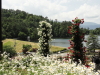 img0234.jpg
